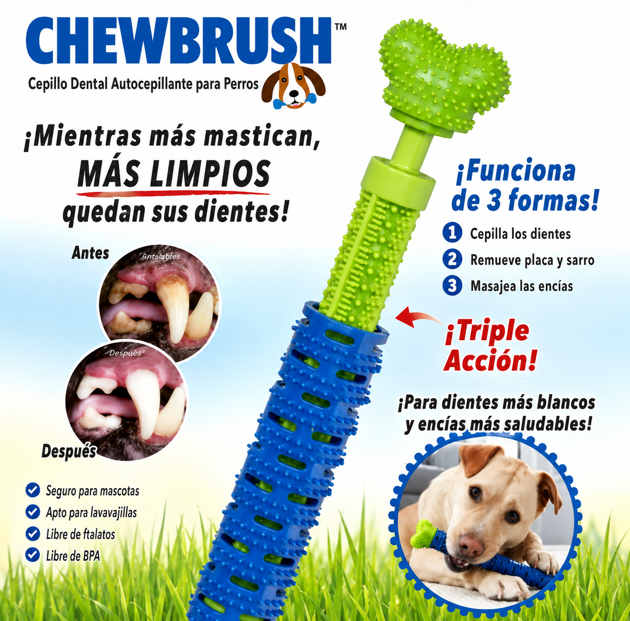 Juguete Limpiador De Placa Dental Perros