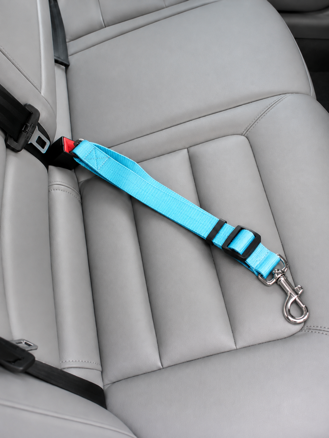 Cinturón de seguridad universal pets