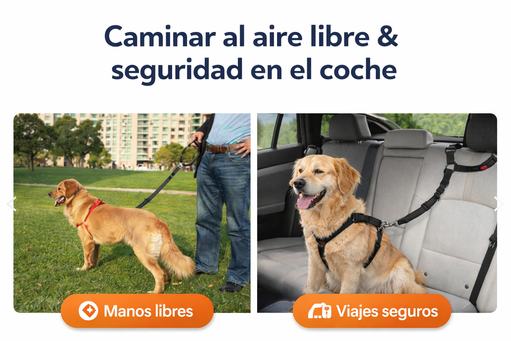 Correa Leash Para Mascotas Pro Outdoor