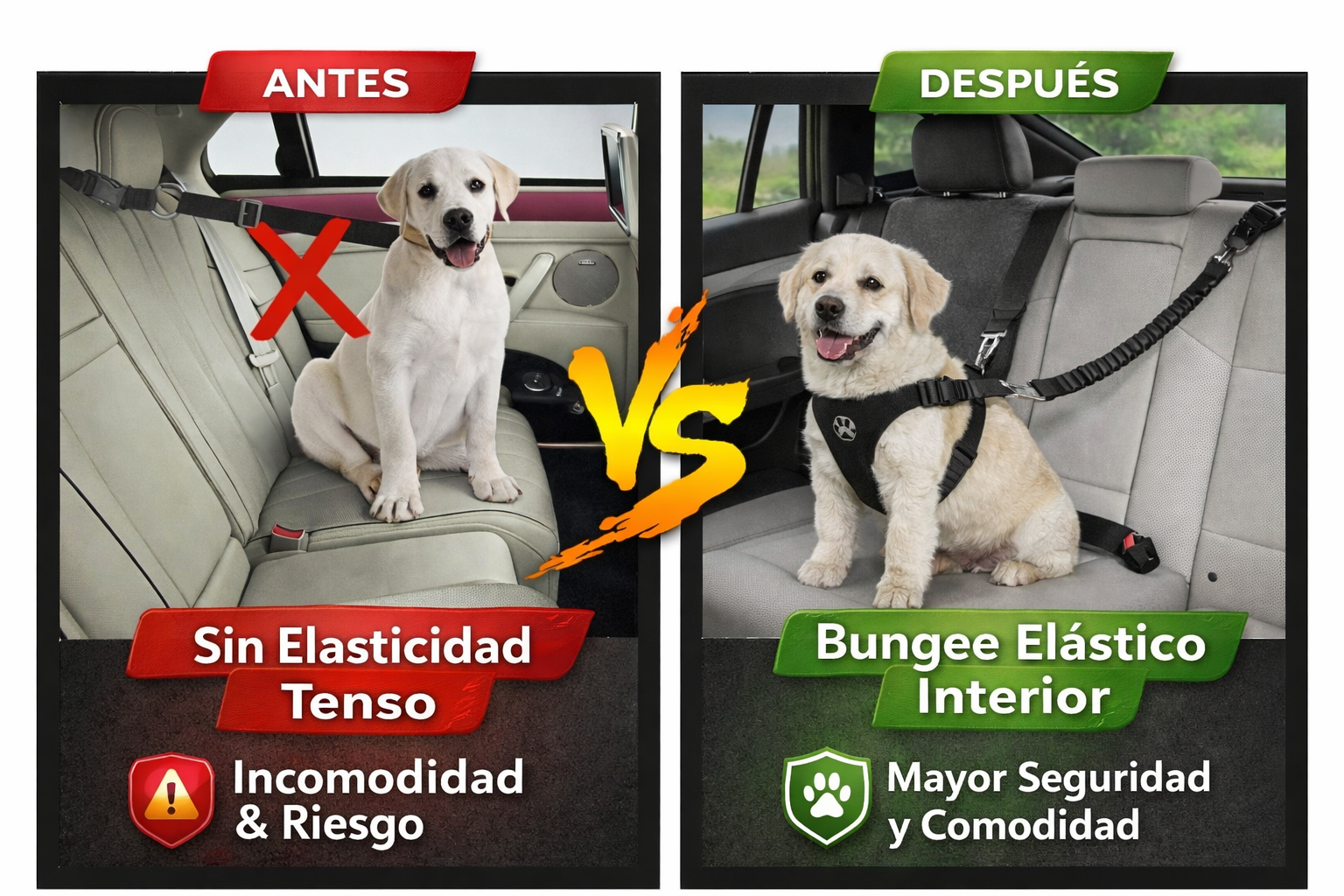 Correa Leash Para Mascotas Pro Outdoor