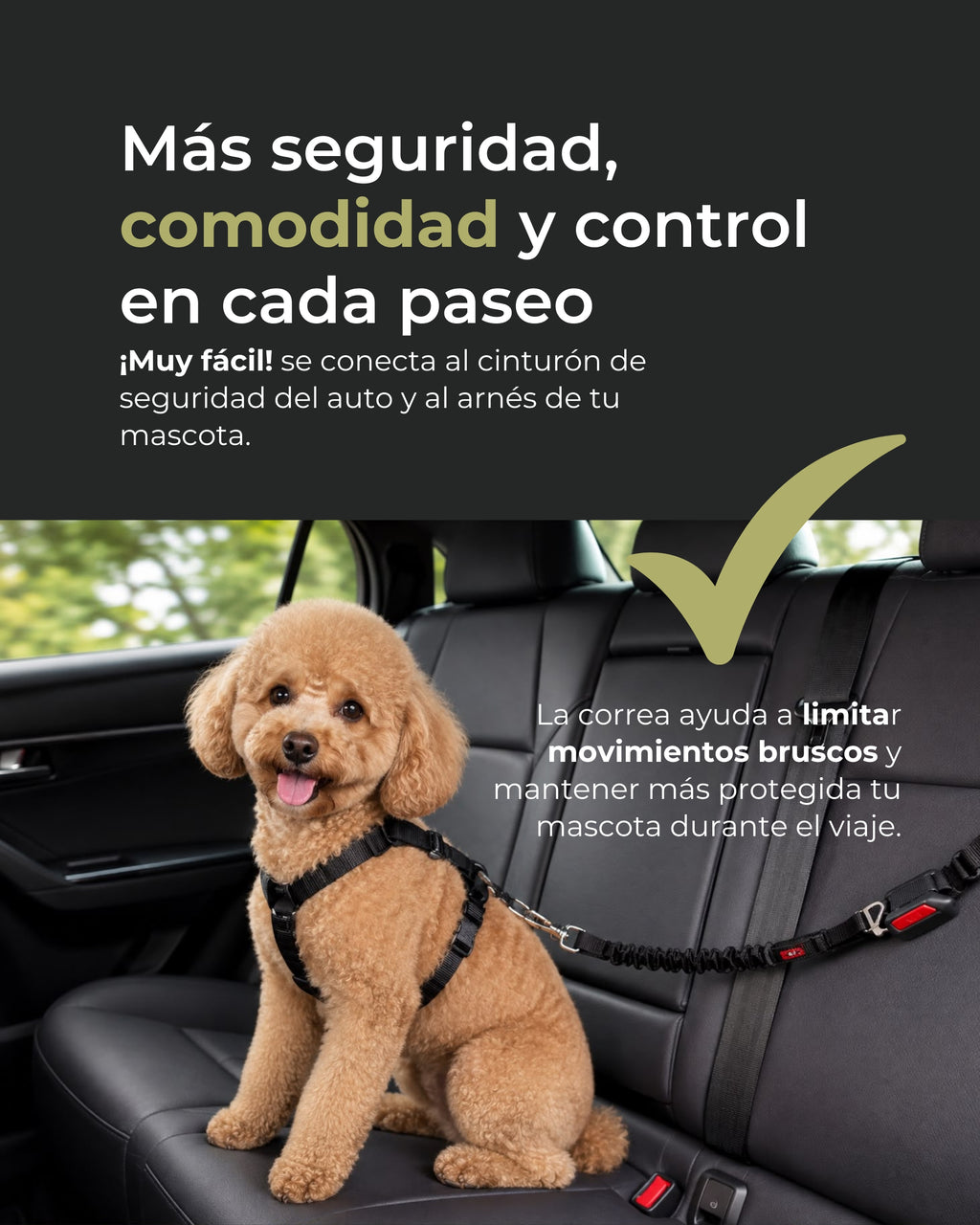 Correa Leash Para Mascotas Pro Outdoor